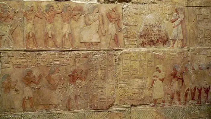 Reliefs depicting Hatshepsut's expedition to Punt