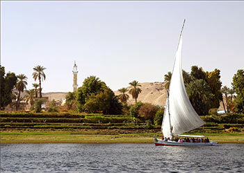 The banks of the Nile