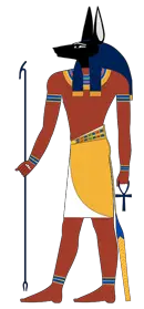 Anubis