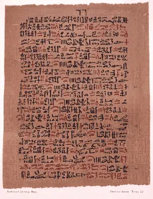 The Ebers Papyrus