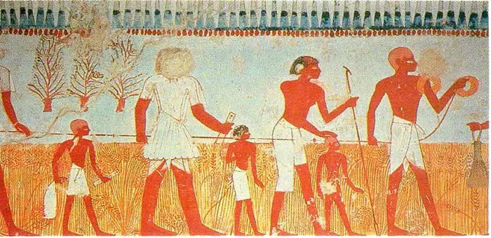 Ancient Egyptian Farmers