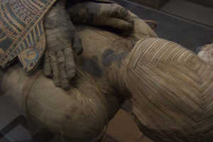 Egyptian mummy