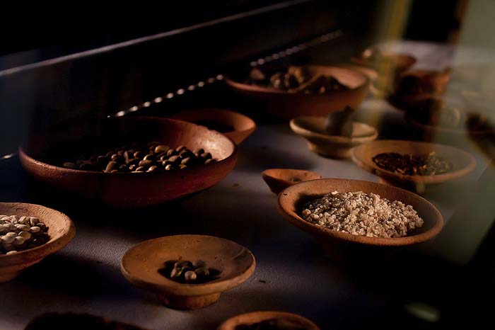 Ancient Egyptian Food And Drink | Food Ancient Egyptian Foo