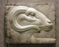 © Peter Roan - Relief of a Ram's Head
